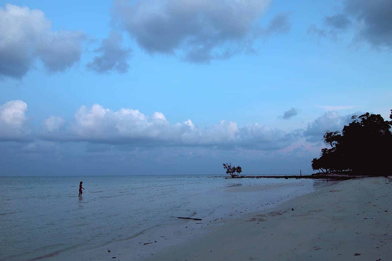 Havelock Island — Photo: Vyacheslav Argenberg, CC BY 4.0 · Wikimedia Commons