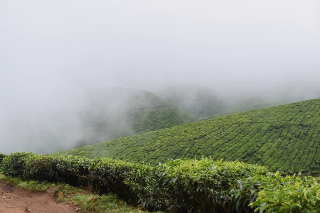 Darjeeling Short Break