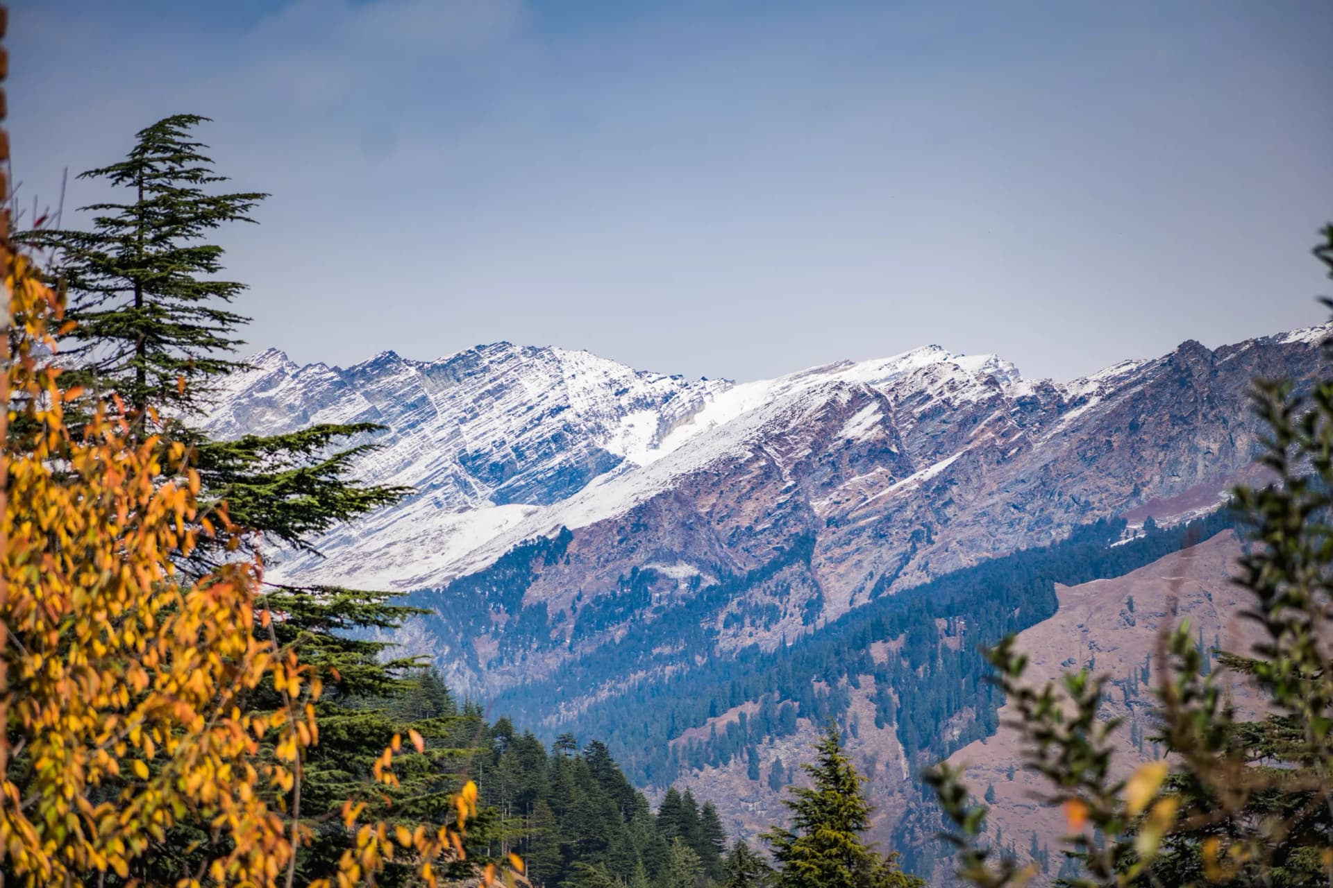 Shimla & Manali